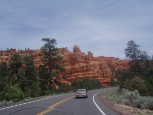 P1010155