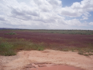 P1010261
